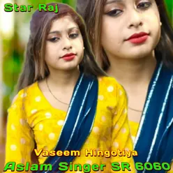 Aslam Singer SR 6060